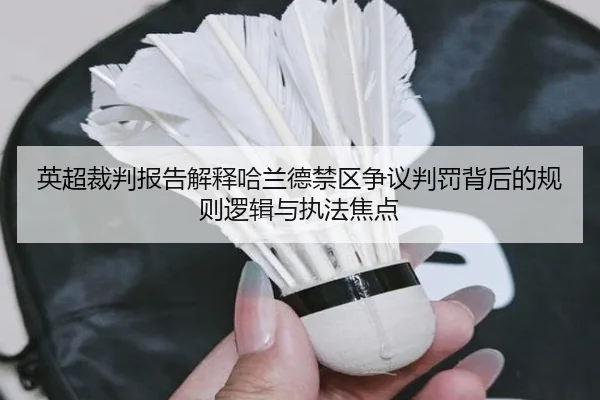 英超裁判报告解释哈兰德禁区争议判罚背后的规则逻辑与执法焦点