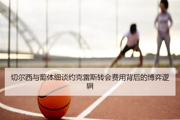 切尔西与葡体细谈约克雷斯转会费用背后的博弈逻辑