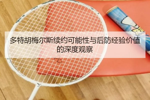 多特胡梅尔斯续约可能性与后防经验价值的深度观察